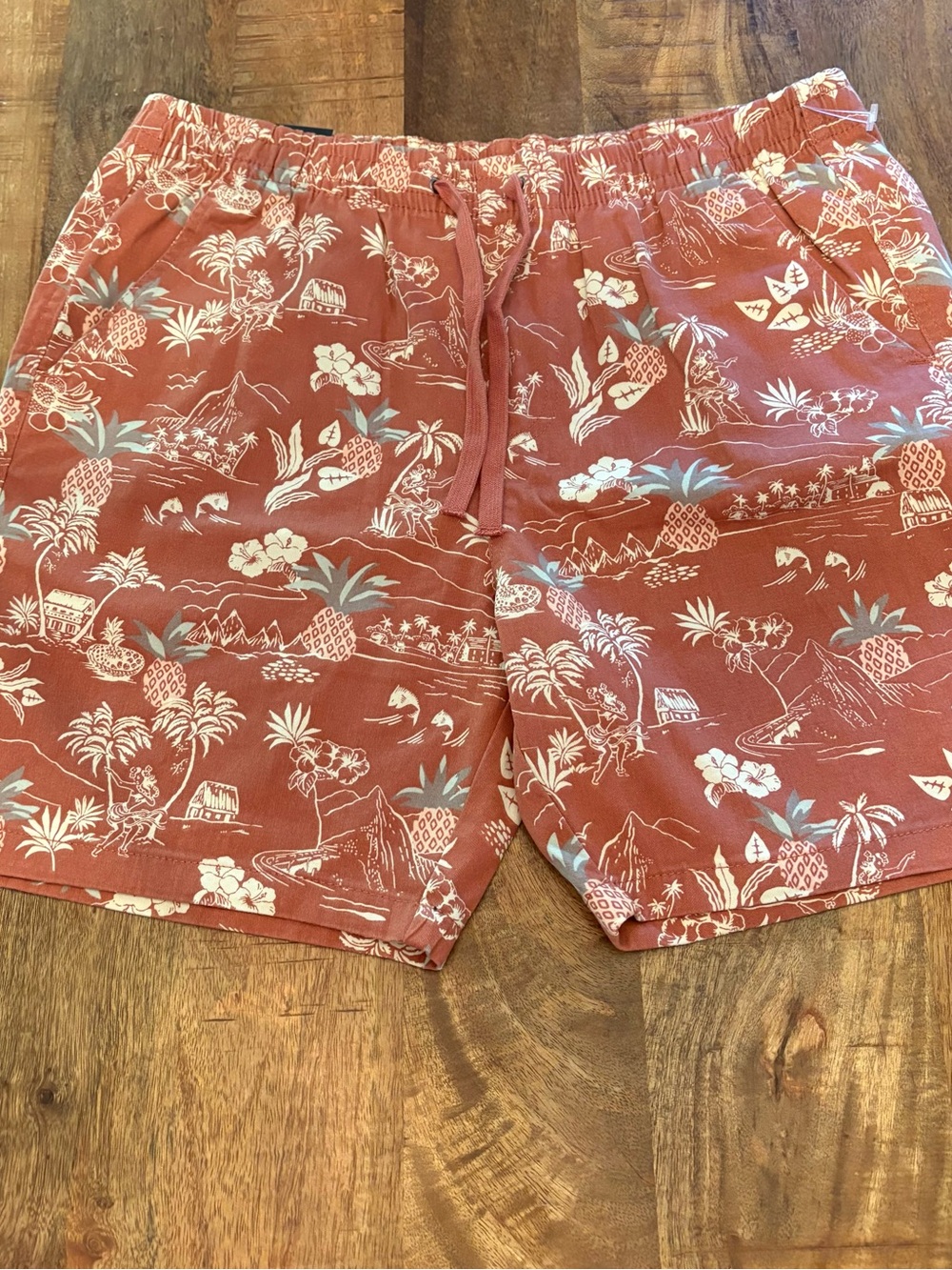 Jachs New York "Pull-On Dock
Shorts"